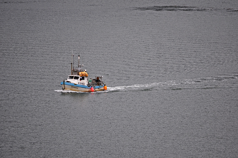 Fishing boat 3