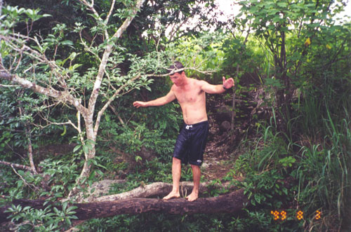 Costa_Rica_Jungle25.jpg