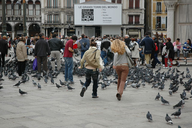 Tourists_running_through_the_crowds_of_pigeons.jpg