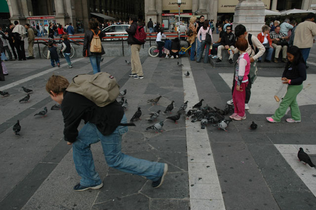Kids_playing_with_pigeons.jpg