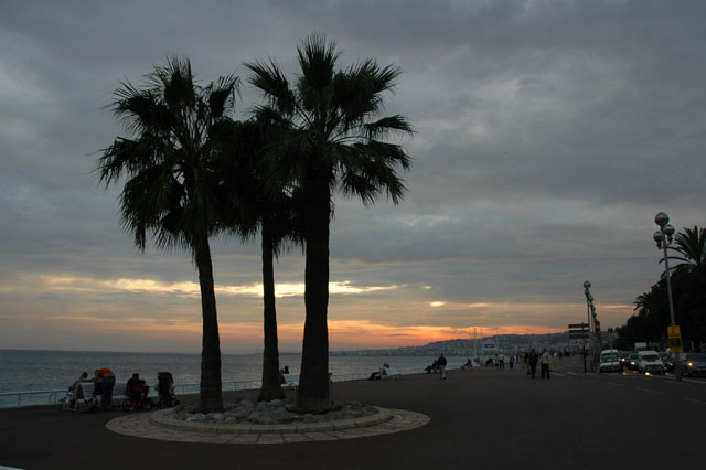 Palm_trees_in_the_sunset.jpg