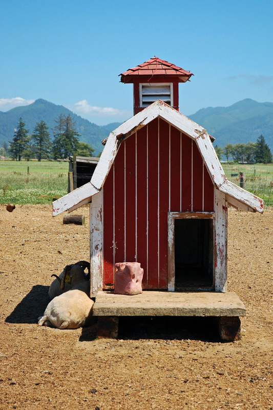 Mini farm house.jpg