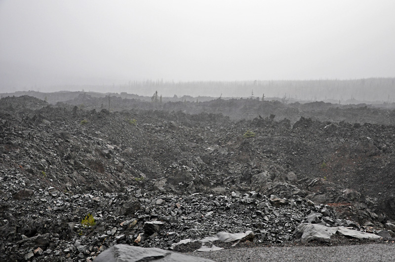 The lava fields of Mckenzie Pass.jpg