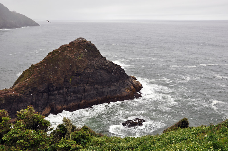 Sea Stacks in the Pacific.jpg