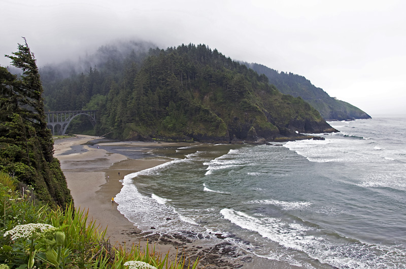 The view south from Heceta Head.jpg