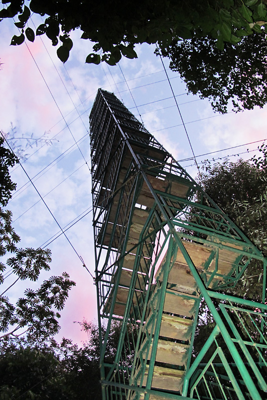 Looking up at the jungle canopy tower.jpg