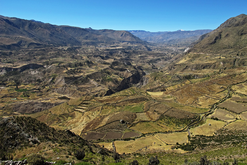 The Colca Canyon is up to 13,650 feet deep, more than twice as deep as the Grand Canyon