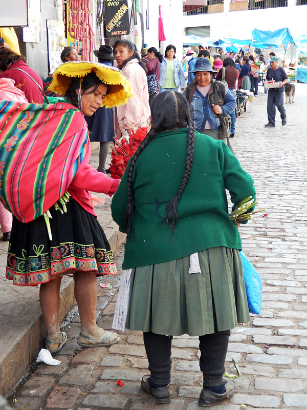A good example of the common Andean braids.jpg