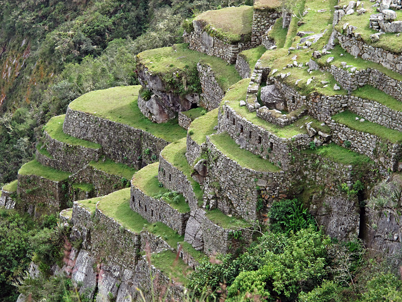 Close up of the Inca Terraces.jpg