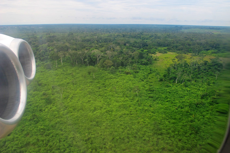 Flying out of the green Amazon Jungle.jpg