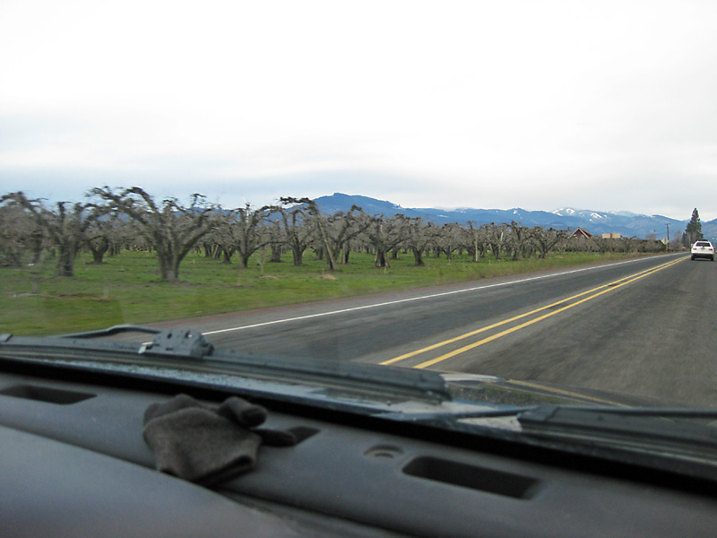 Driving through some vineyards near Hood River.jpg