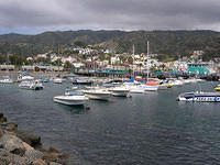 Catalina_Island05.jpg