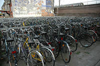 Bikes_and_bikes_everywhere.jpg