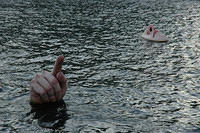 This_interesting_hand_and_face_is_in_the_water_near_Gamla_Stan.jpg