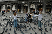 Kids_having_fun_with_teh_birds.jpg