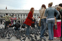 Visitors_hanging_out_with_the_pigeons.jpg