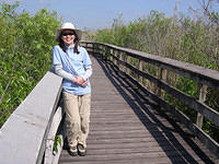 Everglades26.jpg