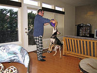 Nevermind the ridiculous jammies, this is serious guard dog training time.jpg