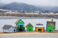 Cathouses on the jetty
