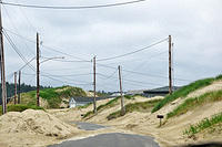 We found this sand dune neighborhood north of Waldsport OR.jpg