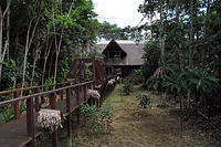 A view of the lodge from the boardwalk near my room.jpg