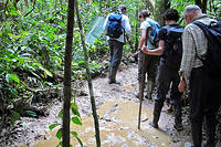 Our group hiking along the muddy trail.jpg