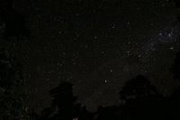 Stars at night2.jpg