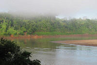 The morning fog on the Tambopata River.jpg