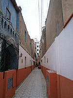 Looking down a gated residential alleyway.jpg