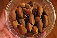 Some Brazil nuts, also known as Peru nuts in Peru.jpg