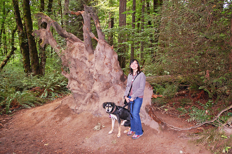 Charlotte and Mulder find an overturned tree.jpg