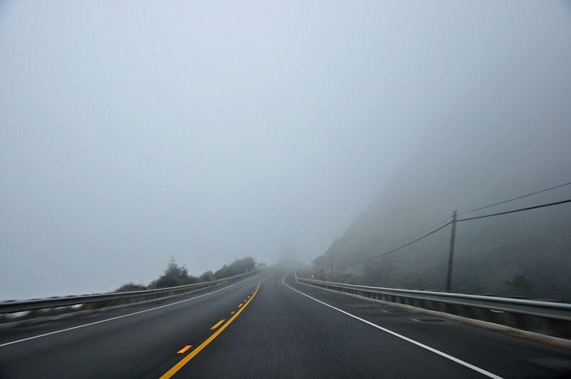 Driving along the very foggy Southern Oregon Coast