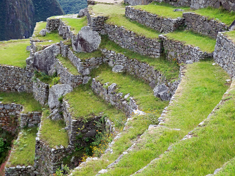 The Inca Terraces at Machu Picchu.jpg