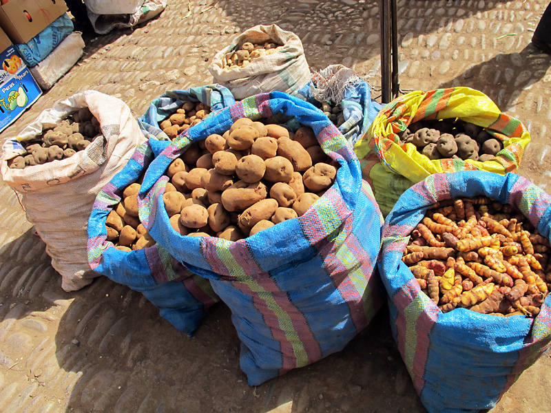 The potato originated in Peru, there are thousands of varieties.jpg