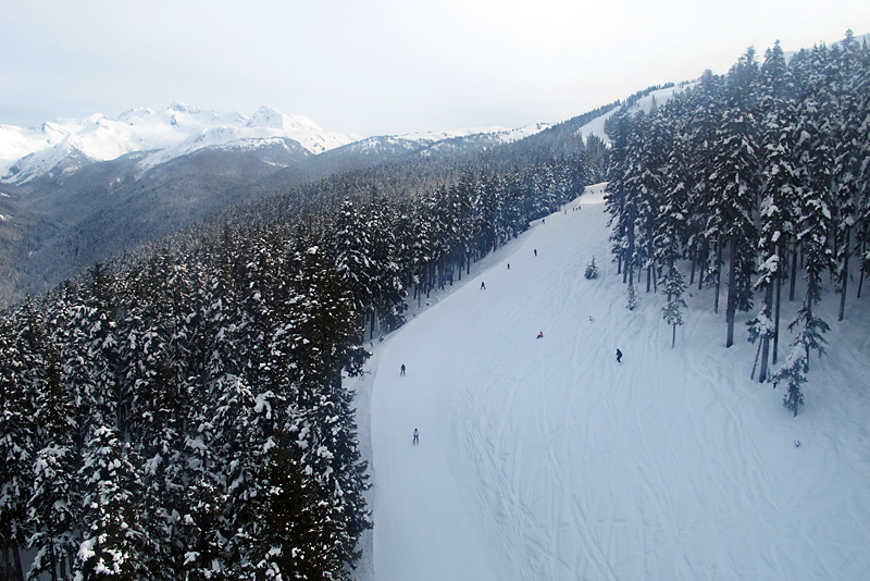 Trail as seen from the gondola.jpg