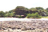 Costa_Rica_Beaches16.jpg