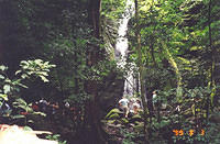 Costa_Rica_Jungle22.jpg