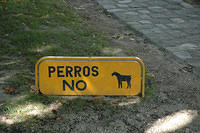 Is_that_a_perro_or_donkey_in_the_picture.jpg