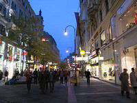 The_busy_shopping_are_near_Stephansdom.jpg