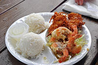 Charlottes garlic and coconut flaked shrimp from the food cart.jpg