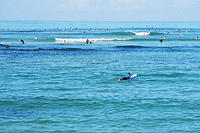 It's only a little crowded at Waikiki Beach.jpg