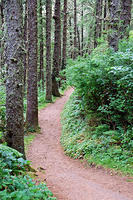 A very nice hike just south of Cape Meares.jpg