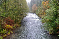 Mckenzie river the other direction.jpg