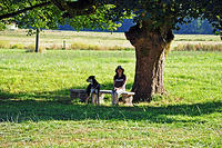 Charlotte and Mulder relaxing under an oak tree.jpg