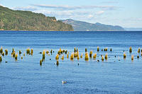 View of the Columbia River.jpg