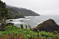 Another look South from Heceta.jpg
