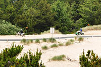 Some people enjoying the sand dunes near Reedsport.jpg