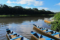 Canoes on the lake.jpg