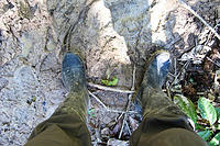 Muddy Boots.jpg