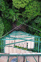 Once above the jungle treetops we were able to see macaws and toucans flying from tree to tree.jpg